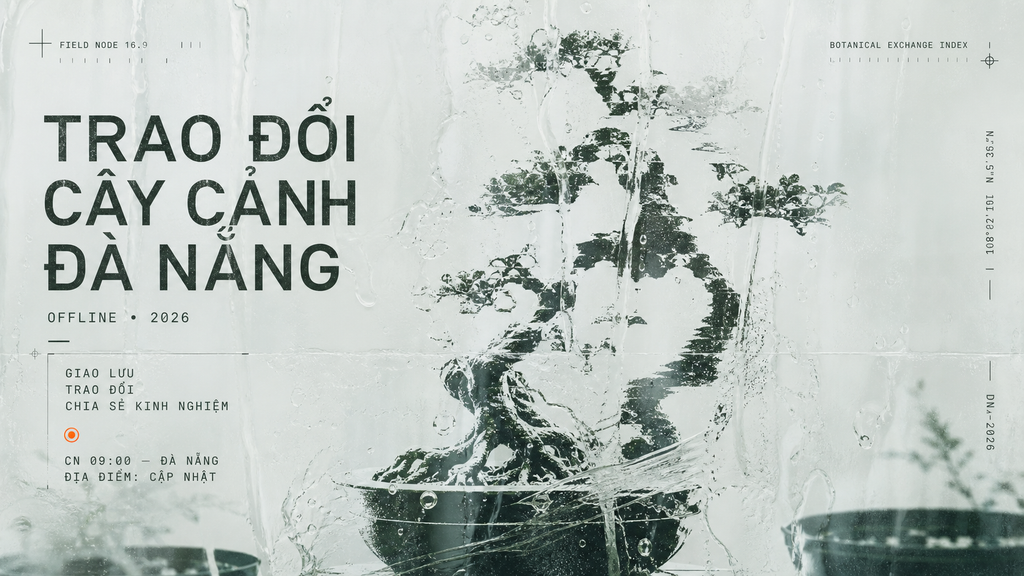 Trao đổi cây cảnh Đà Nẵng với poster tối giản