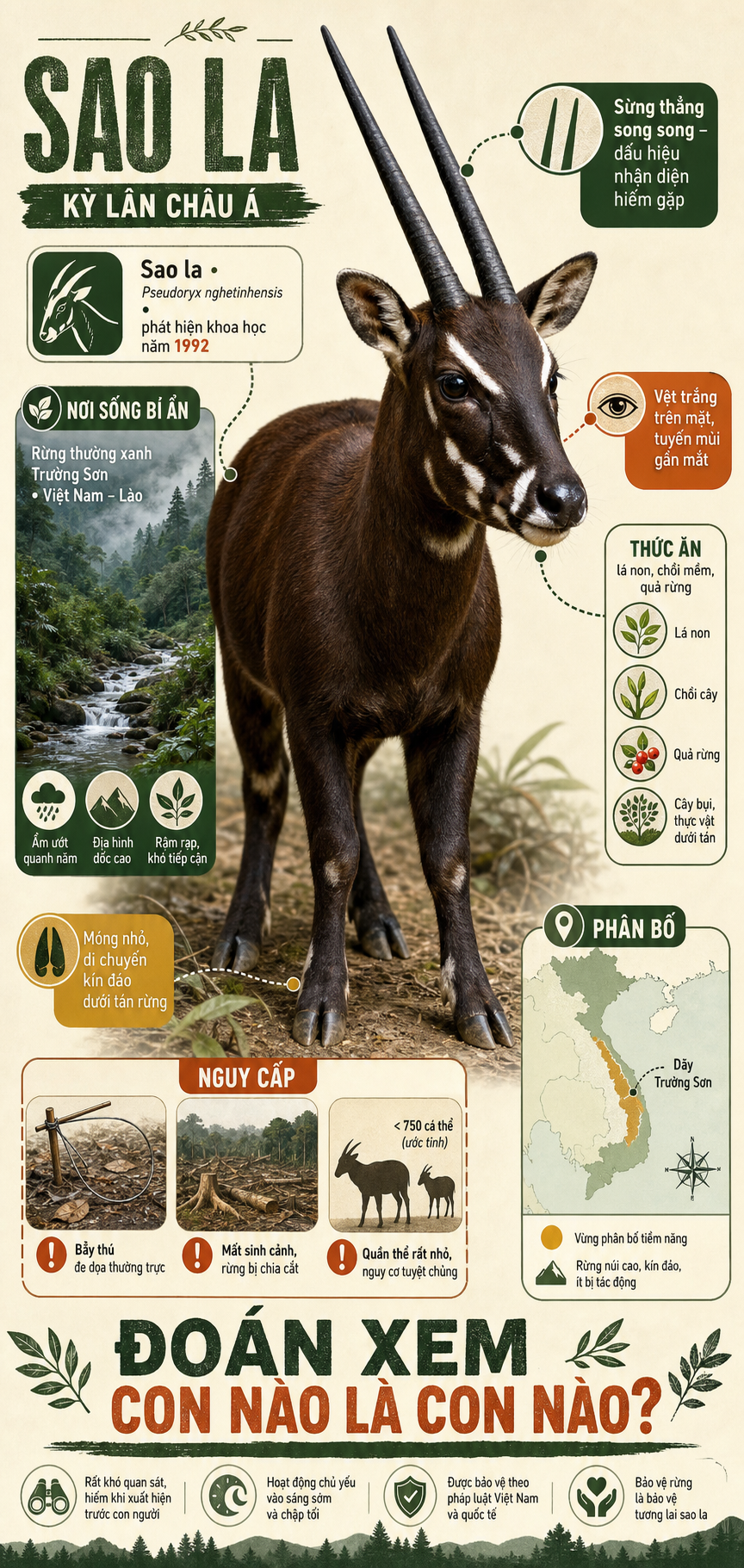 Infographic về sao la Việt Nam