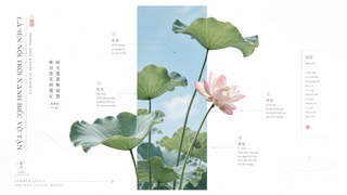Poster hoa sen tối giản với khung trời xanh dịu