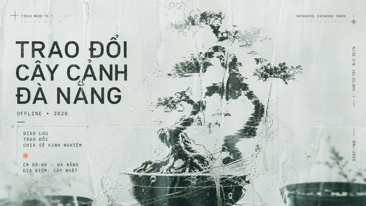 Trao đổi cây cảnh Đà Nẵng với poster tối giản