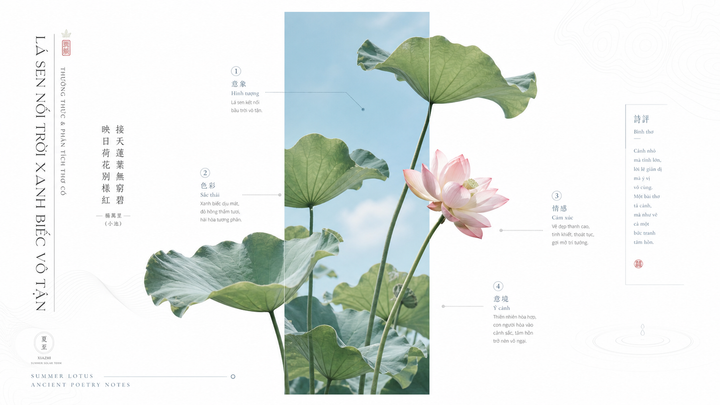 Poster hoa sen tối giản với khung trời xanh dịu